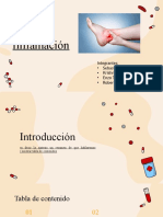 Inflamación: Integrantes: - Sebastian Corvalán - Krishna Figueroa - Enzo Troncoso - Roberto Zúñiga