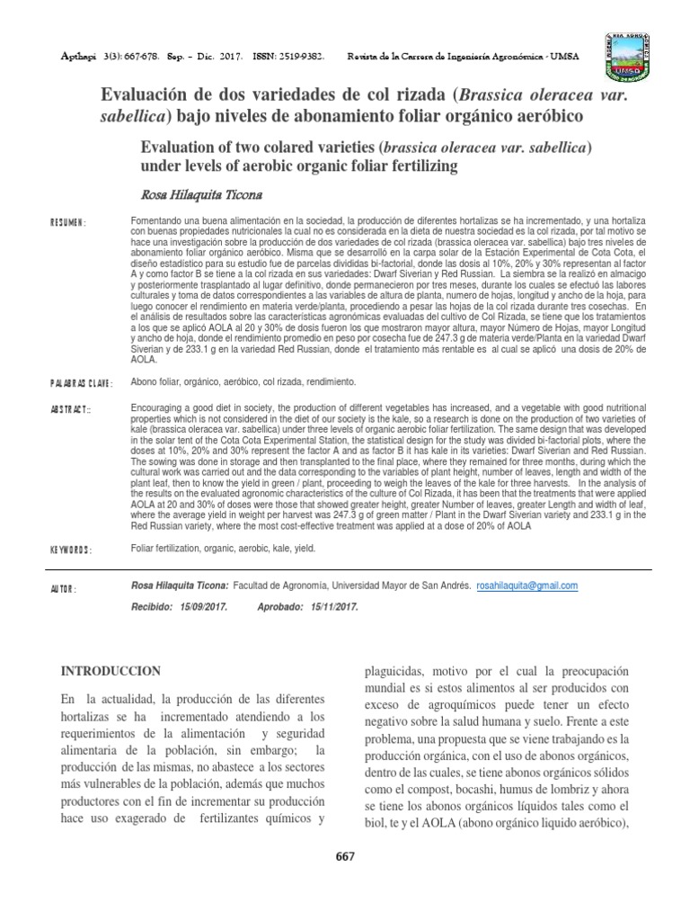 Evaluación de Variedades de Col Rizada | PDF | col rizada | Fertilizante