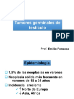 Tumores Germinales de Testículo: Prof. Emilio Fonseca