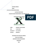 Lp2 Analisis Kadar Paracetamol Pada Sediaan Cair 228 Andhiny Astri Apriani