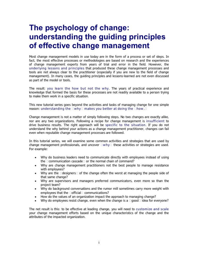 Change Management Principles | PDF | Change Management | Strategic ...