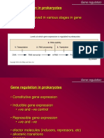 Gene Regulation in Prokaryotes