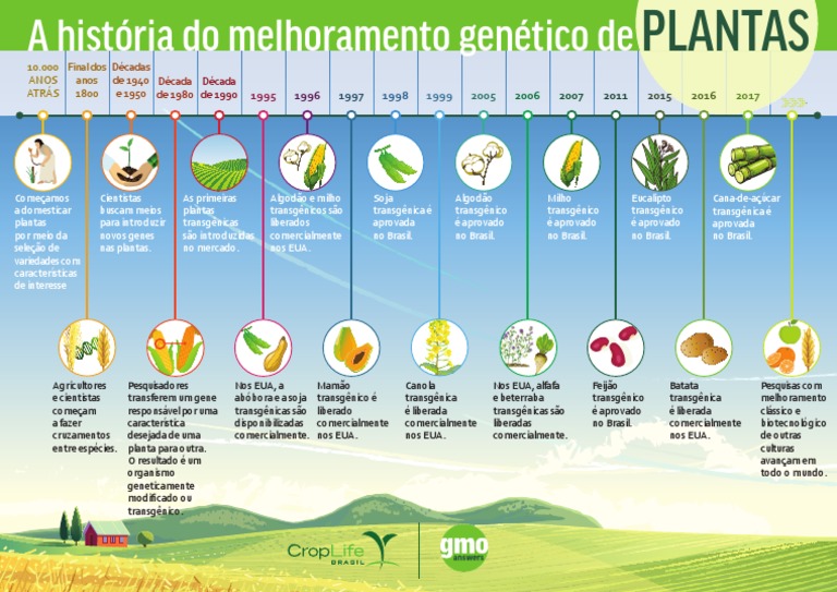 Evolução do Melhoramento Genético de Plantas | PDF | Genética ...