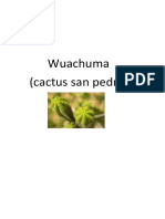 Wuachuma