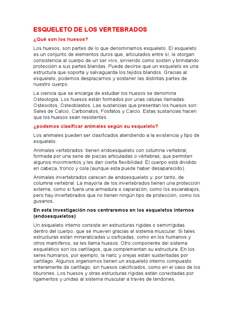 Esqueleto De Los Vertebrados Pdf Esqueleto Hueso