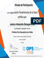 La Organización Panamericana de La Salud Certifica Que