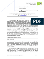 Analisis Penyebaran Vibrio cholerae oleh Musca domestica