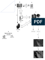 Outline of The Flow in The System