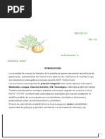 Circuito Productivo de La Harina | PDF | Harina | Trigo