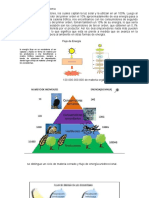 Principios y Conceptos Relativos A La Energía