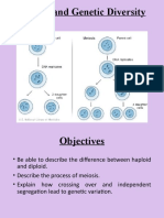 Meiosis and Genetic Diversity