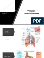 Consideraciones Anatomo Fisiológicas de La Ventilación en Adulto