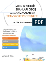 İlaçlarin Biyolojik Membranlari Geçiş Mekanizmalari: Transport Proteinleri