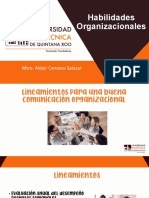 3 Habilidades Organizacionales