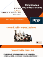 2 Habilidades Organizacionales