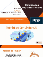 7 Habilidades Organizacionales