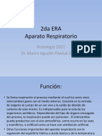 2da ERA Aparato Respiratorio: Histología 2021 Dr. Marco Agustín Pawluk Ochoa