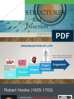 Cell Introduction handout