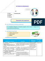 D1 A1 SESION COM. Presentacin de La Experiencia