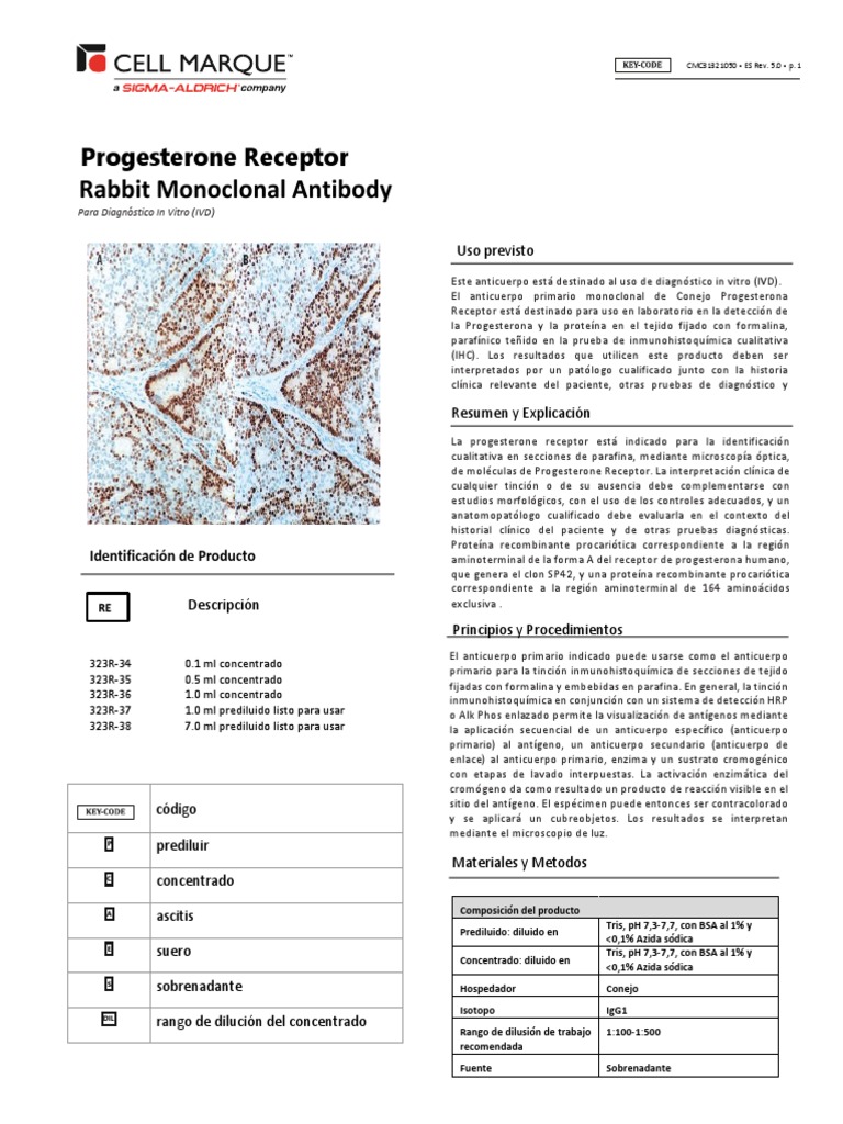 Es Ivd PGR SP42 | PDF | Anticuerpo | Tinción