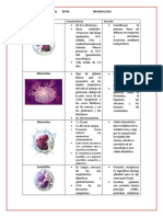 Celulas Del Sistema Inmune