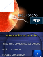 Fecundação