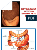 Digestao Aula4