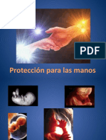 Protección para Las Manos