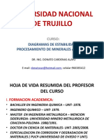 Universidad Nacional de Trujillo: Diagramas de Estabilidad Y Procesamiento de Minerales Auriferos