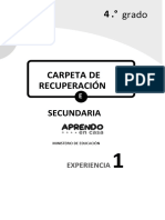 Carpeta de Recuperación: Secundaria