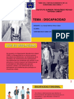 Tema: Discapacidad: Instituto Superior Tecnológico Privado "Antonio Lorena"