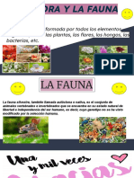 La Flora y La Fauna