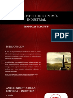 Diagnostico de Economia Industrial: "Bodegas Magnus"