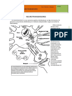 Neurotransmisores principales