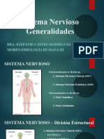 Sistema Nervioso Generalidades: Dra. Stefanie Castro Rodríguez Morfo-Fisiología Humana Iii