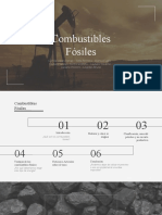 Combustibles Fósiles