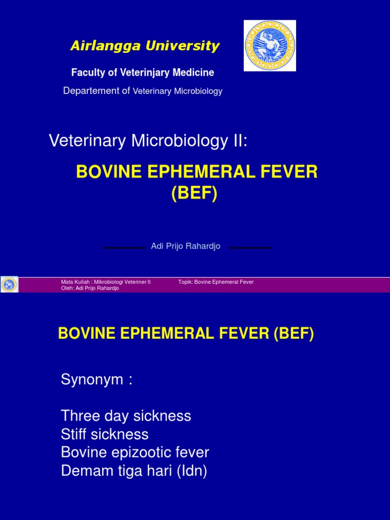 Veterinary Microbiology II Bovine Ephemeral Fever (BEF) PDF