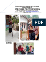 Puskesmas Karangnunggal laksanakan berbagai kegiatan kesehatan di Desa Cikapinis
