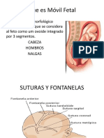 Que Es Móvil Fetal