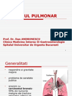 Cancerul Pulmonar