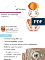 11 - NS4 Eye Visual System All Sites (Handout) F2022 (Exported)
