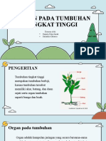 2-Tugas Morfis Tumbuhan Kelompok 2