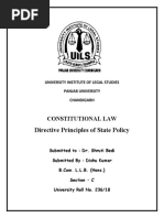 Directive Principles of State Policy