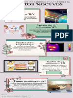 Infografia Evolucion Humana Ilustrado Colores Neutrales