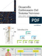 Desarrollo Embrionario Del Sistema Nervioso: Mtra. Npsic. Cinthia Alondra Bolaños Sánchez