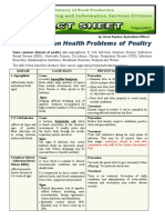 Some Common Health Problems of Poultry