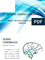 Sistema Venoso Cerebral: Npsic. Cinthia Alondra Bolaños Sánchez