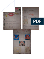 Tema 1 Prostodoncia