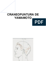 Craneopuntura de Yamamoto: Puntos y aplicaciones