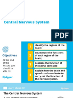 Central Nervous System: Lesson A1.2